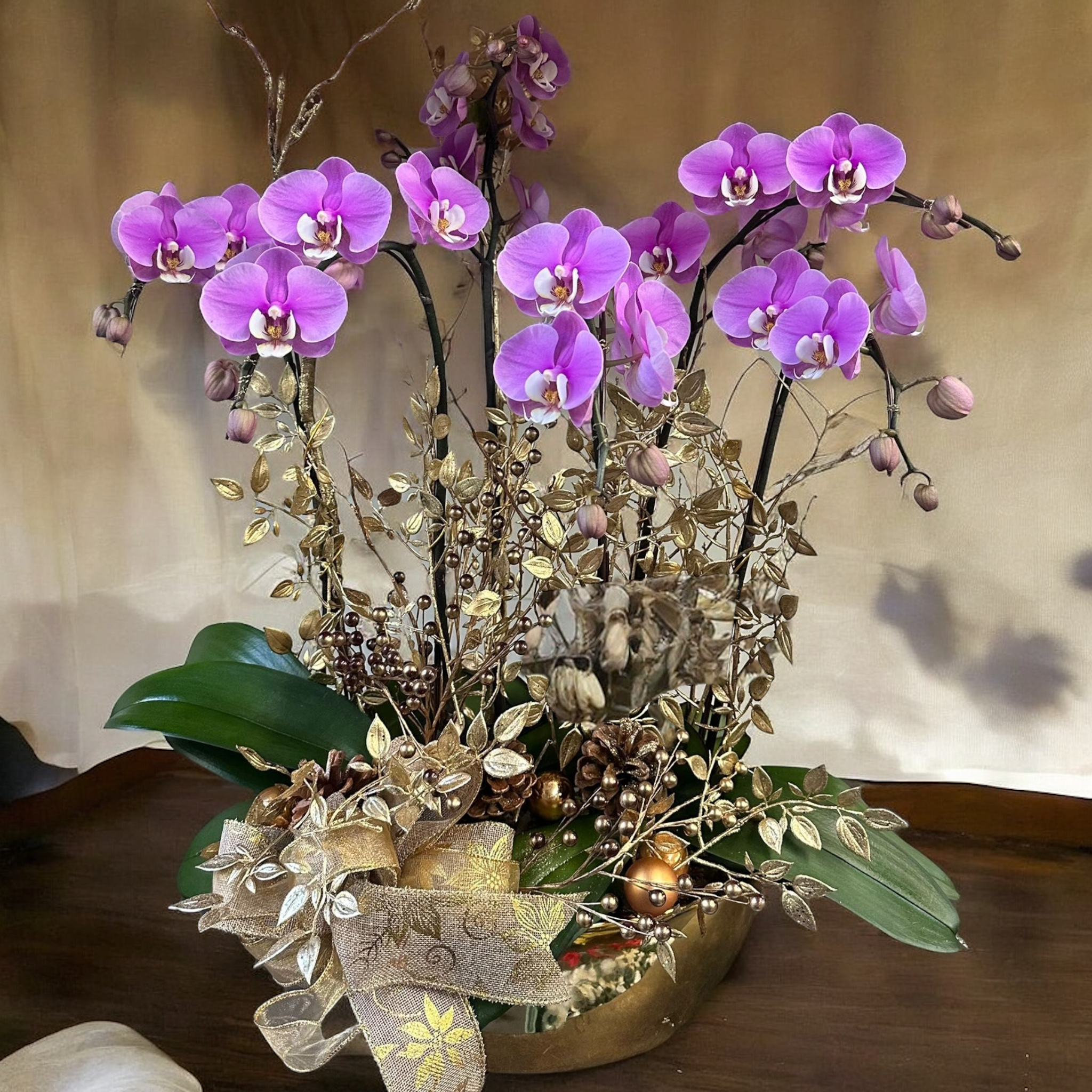 Holiday Orchid 05