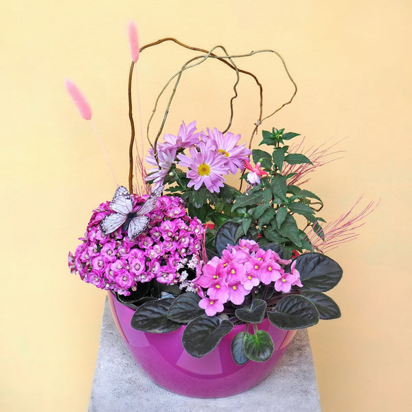 Mother's Day Planter 01 | Thomas Hobbs Florist