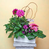 Designer Choice Mix Planter - MD 21