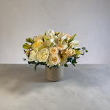 Arrangement - MD 23