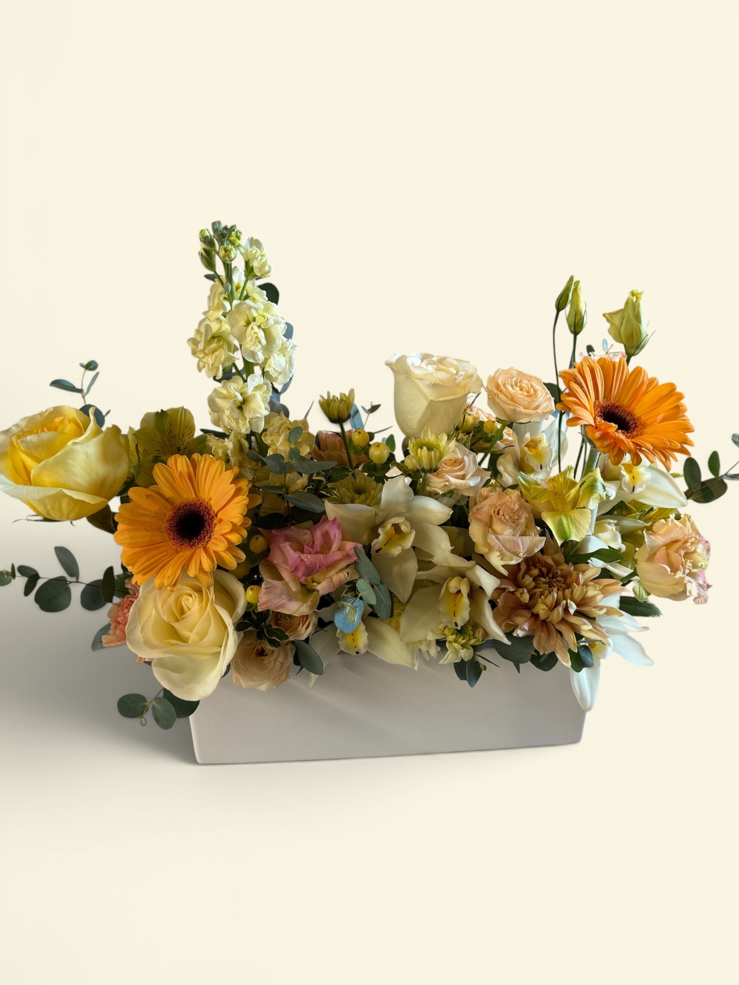 Arrangement - MD 21