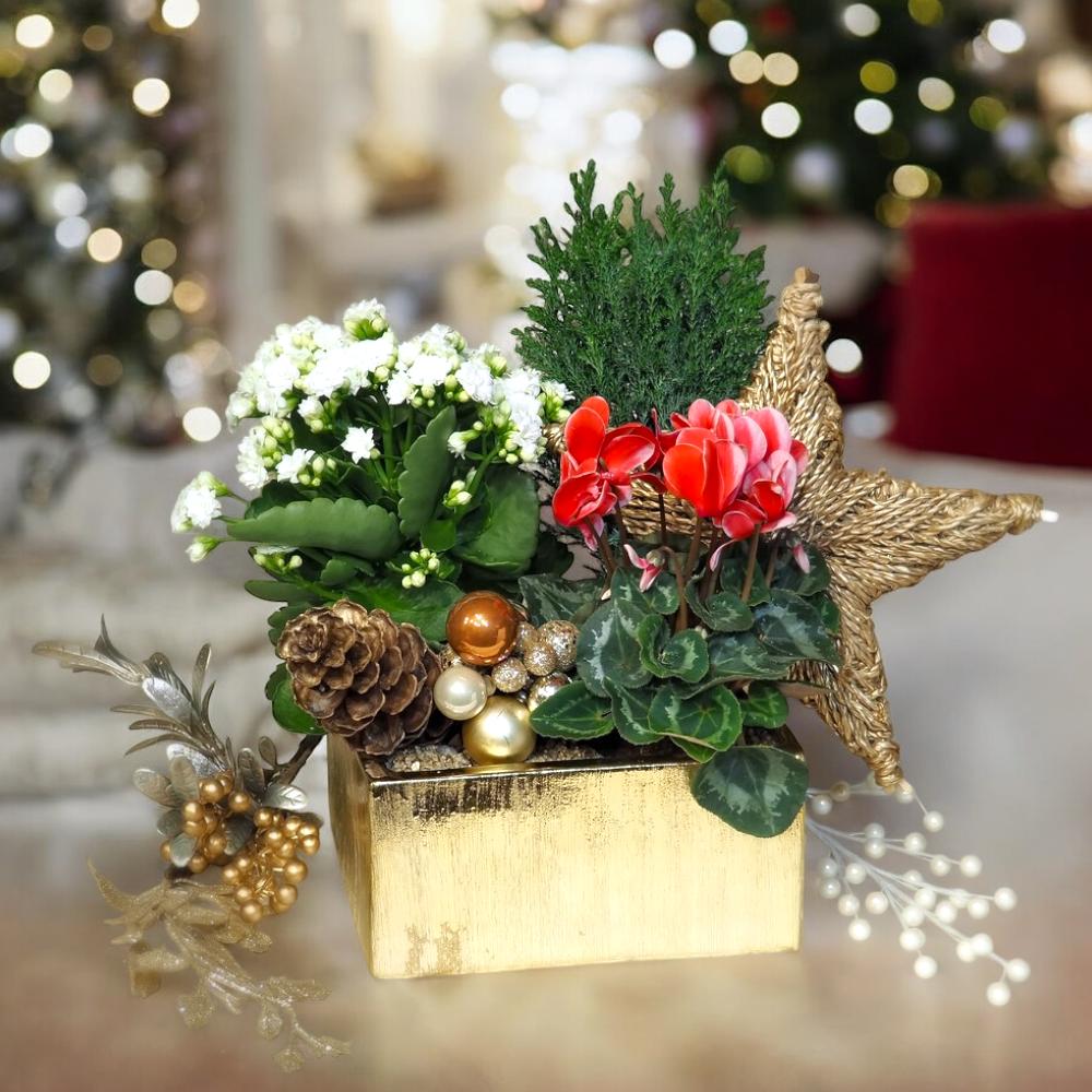 Christmas Planter 02