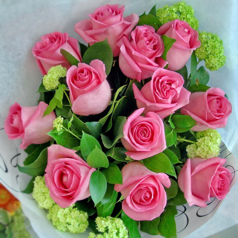 Valentine Roses 02 - pink