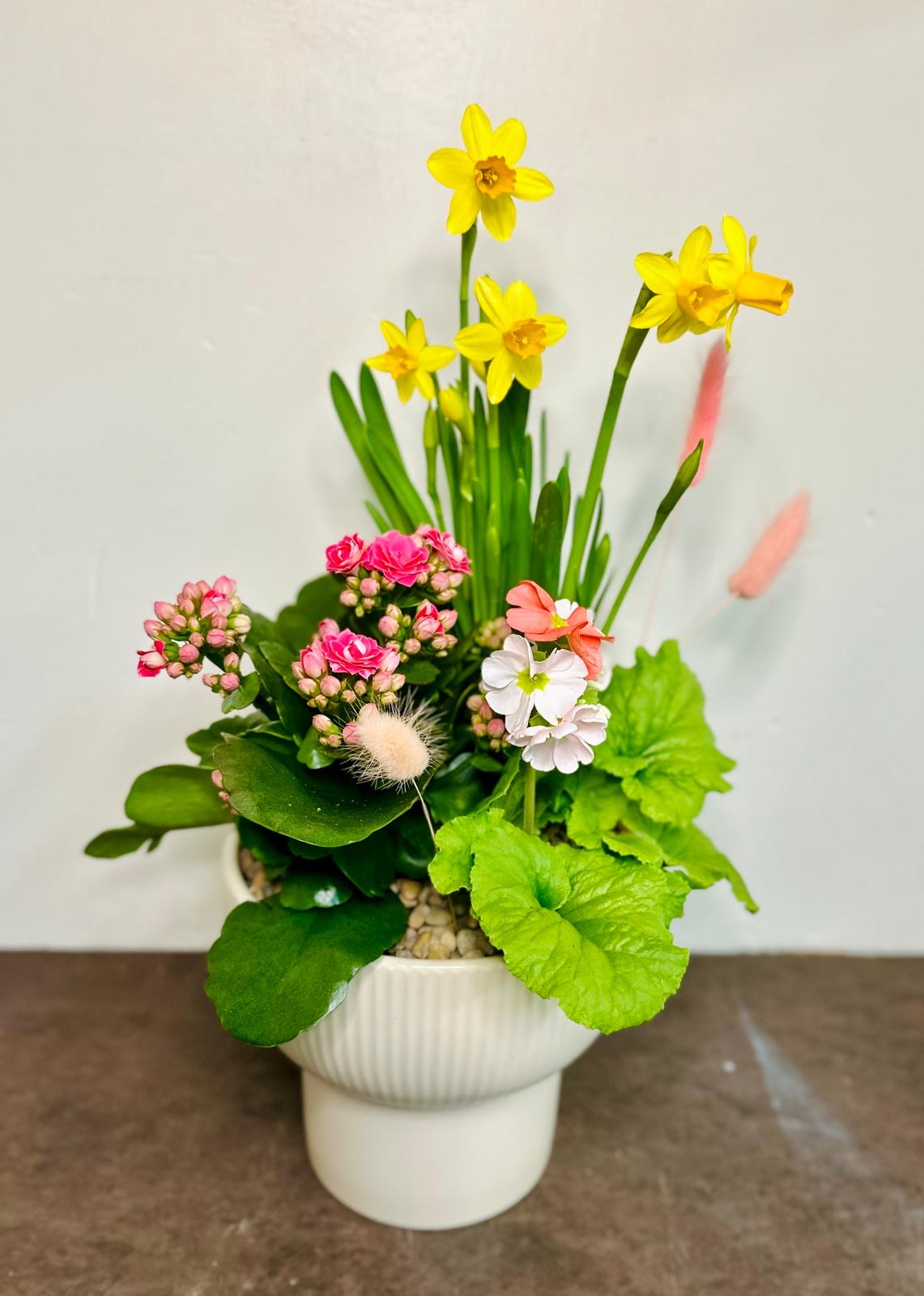Designer Choice Mix Planter - MD 24