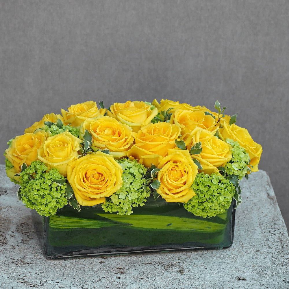 Roses 18
